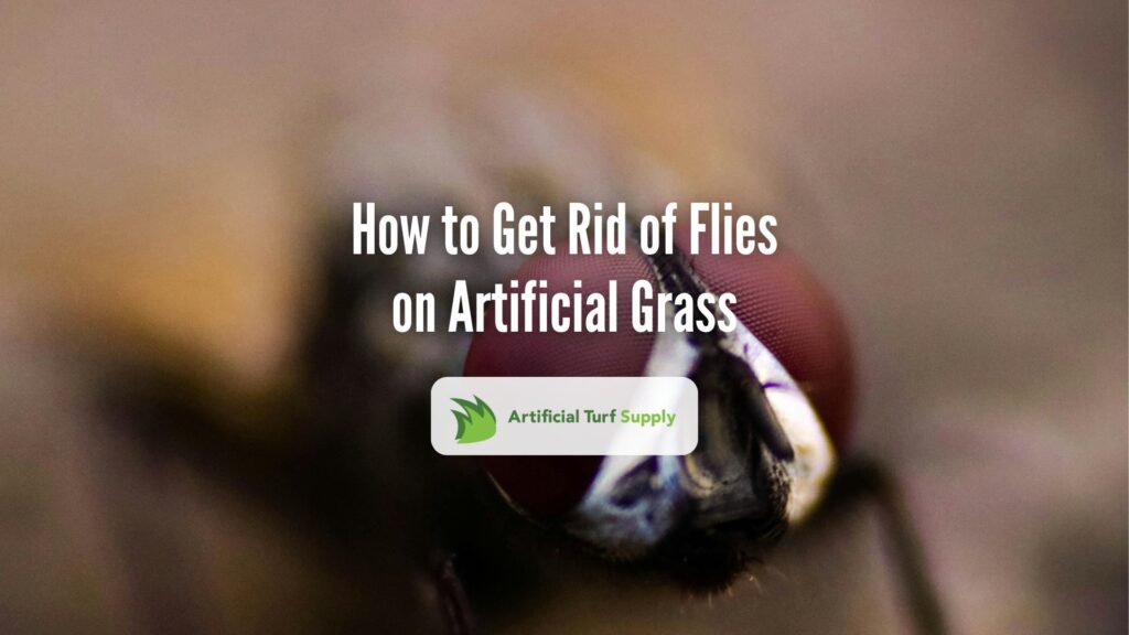 How to Get Rid of Flies on Artificial Grass